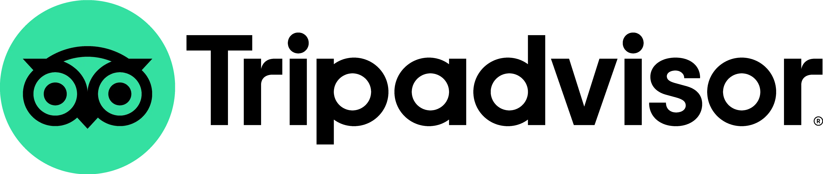 TripAdvisor Logo